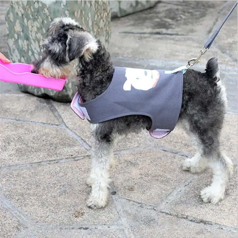 微信截图_20200205190254