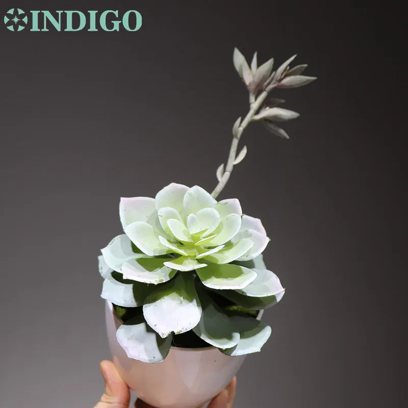 1 set as photo Индиго-(1 комплект) искусственное суккулентное растение с белой круглой вазой пустынные растения пластиковые цветы бонсай украшение стола зелень - Цвет: 1 set as photo