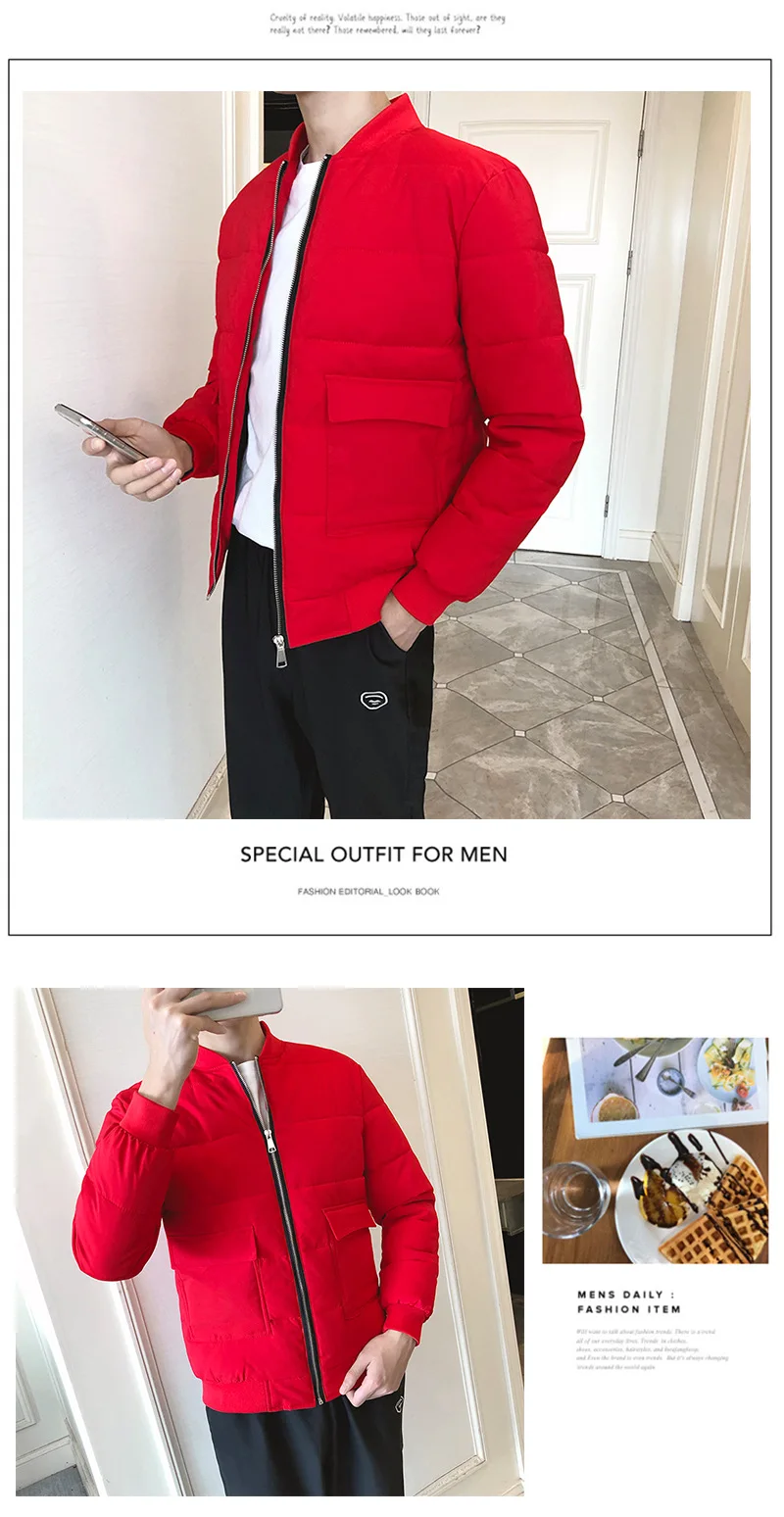 Cotton-padded Jacket Men's New Style Winter Teenager Cotton-padded Clothes Men Zipper Slim Fit Short Warm down Feather Coat