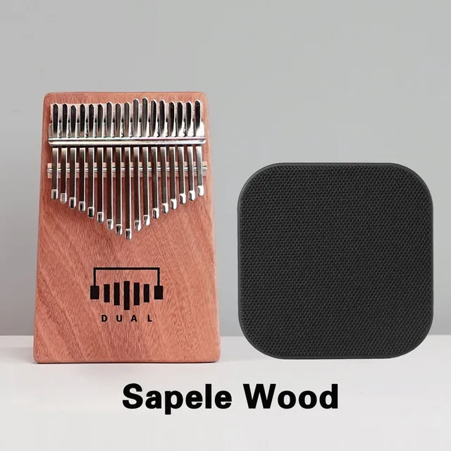 今月限定/特別大特価 カリンバ DUAL D1 スピーカー付き 付属品付き