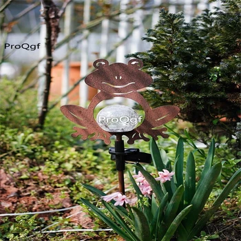 

1Pcs A Set Ngryise frog light board garden use