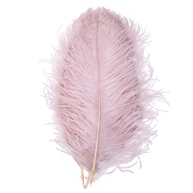 Wholesale 15-70cm Natural White Feathers Ostrich Plumes Diy Large Ostrich  Feathers Party Wedding Feathers For Crafts Decorations - Feather -  AliExpress