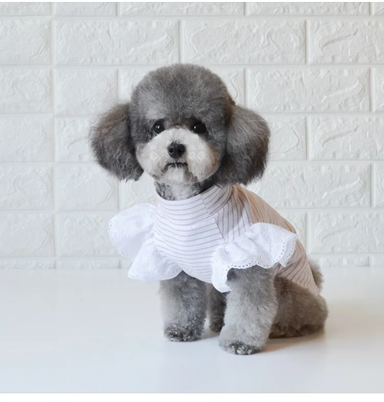 Dog Clothes Newest Spring and Summer Vests Pet Small Bottoming T-shirts | Дом и сад
