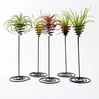 

3pcs Airplant Container Iron Flower Planter Tillandsia Holder Plant Display Racks Office Decor