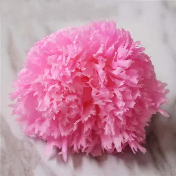 

Grade A High Quality Dried Natural Fresh Preserved Carnation Flowers,Beauty And The Beast Eternal Roses Head,Mothers Day Gift