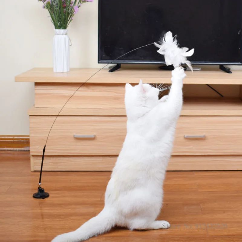 

Игрушка для кошек на присоске с перьями и колокольчиком, длинный стержень, устойчивый к укусам, игрушка для домашних животных для снятия скуки, игра с игрушкой для домашних животных, забавная