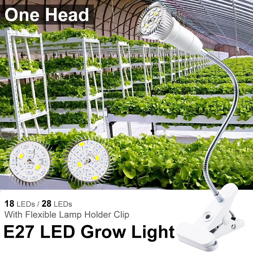 Slide image d662547edf9d404d967338a69092b7c2