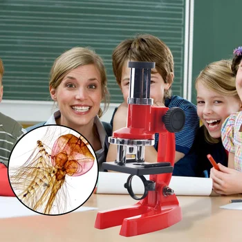 

Kids 300X Monocular Biological Microscope Kit with Sample Slides Magnifier Cover Glass Science Experiment Instruments Tool Toy