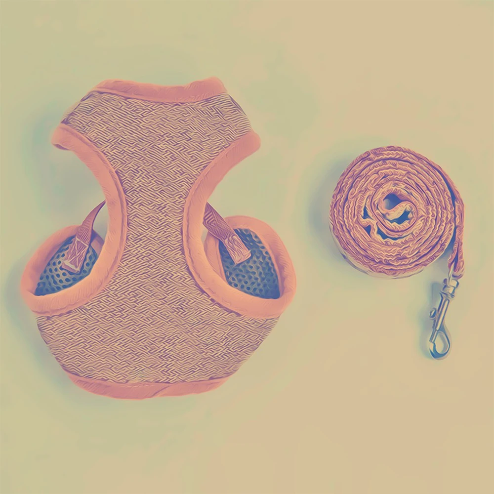 Поводок для чихуахуа набор аксессуаров жилет кошек Мопсов поводки прогулочные