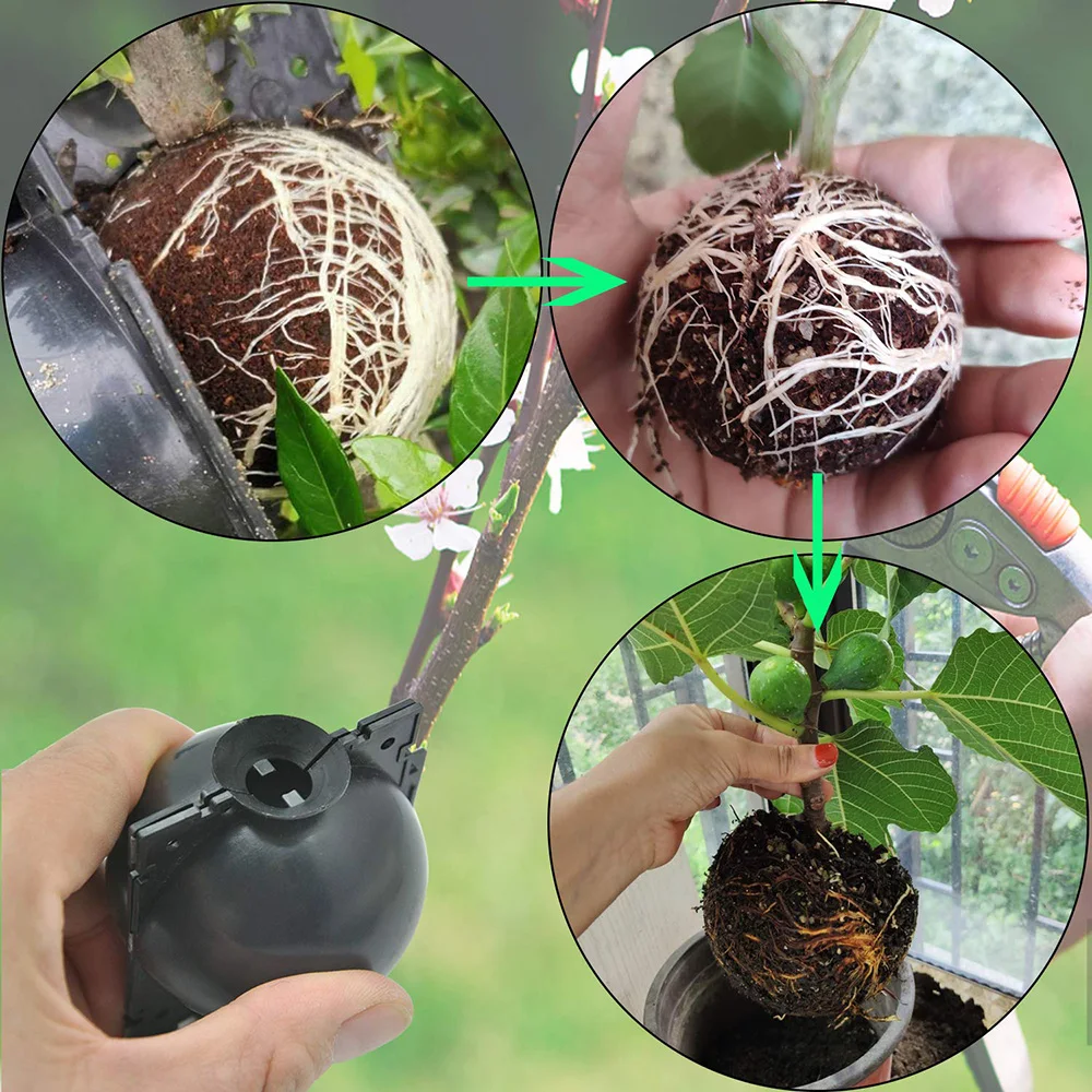 For Garden 6Pcs Plant Grafting Rooting Balls Reusable Root Growing Ball High Pressure Air Layering Propagation Box Nursery Pots