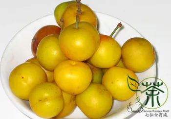 

Cerasus Humilis Prunus Humilis Chinese-Dwarf-Cherry Ou-Li