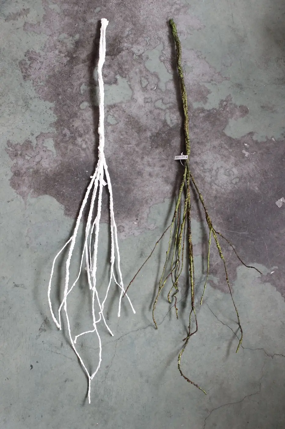 3124313786_773204859