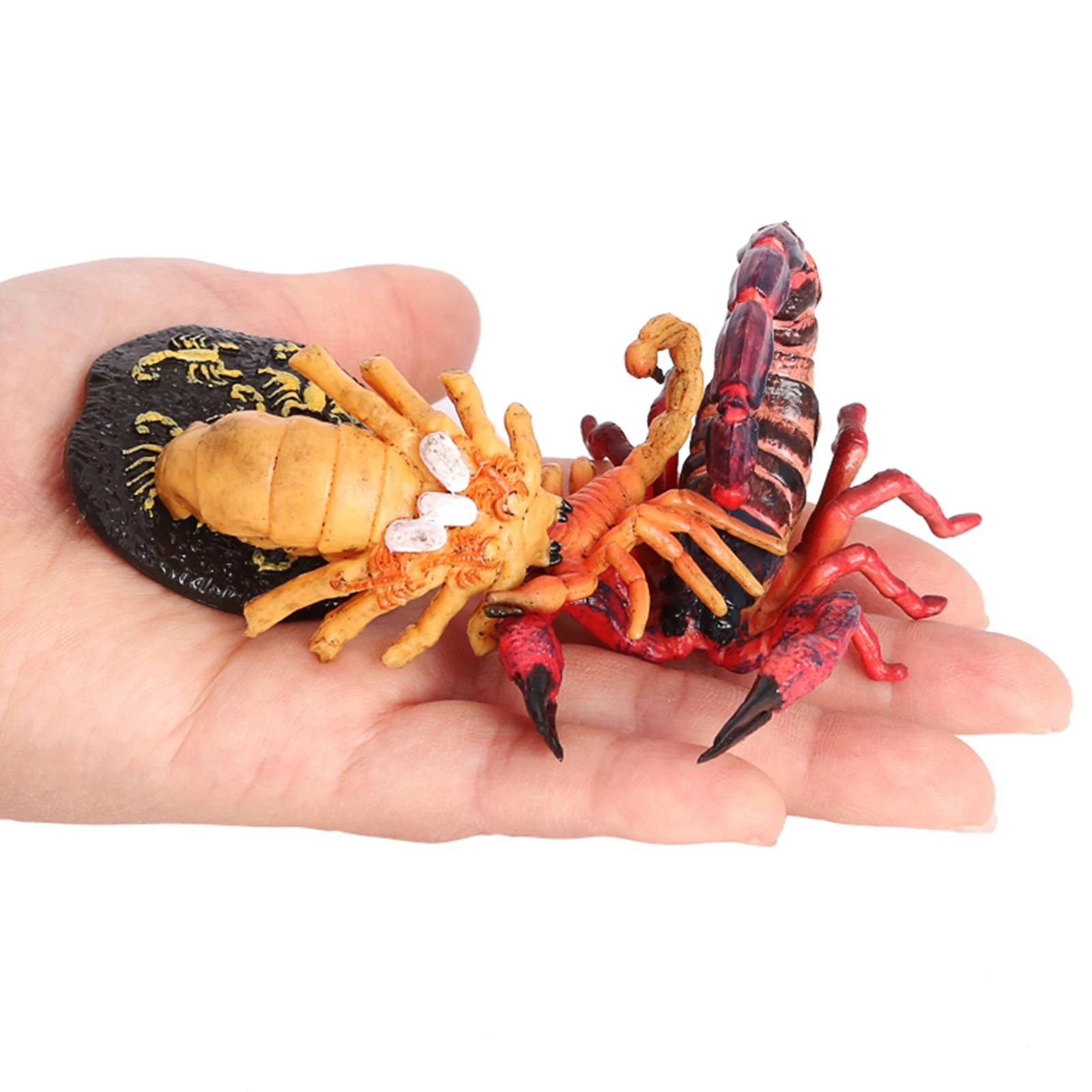 4Pcs Simulation Scorpion Life Cycle Set Toy Figures Learning & Preschool 