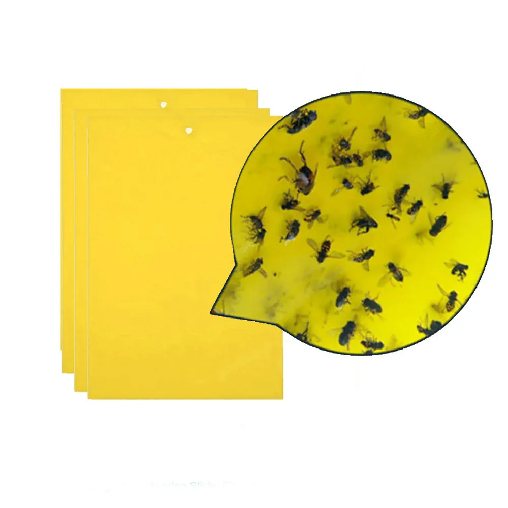 5/10/20Pcs Strong Flies Sticky Traps Bugs Sticky Catching Aphid Insects Pest Killer Outdoor Fly Board Bait Flies Double Traps 5/10/20Pcs Strong Flies Sticky Traps Bugs Sticky Catching Aphid Insects Pest Killer Outdoor Fly Board Bait Flies Double Traps