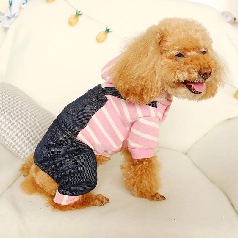 11484802838_1853267267