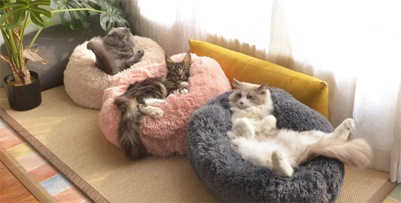 O1CN01Ll5kTU1flZM6cmuqx_!!2199674047