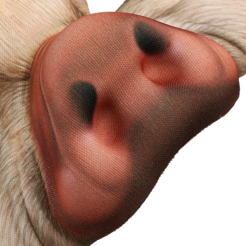 66