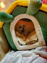 Bed-Mat Basket Kennel Sofa Dog-House Cat-Nest Puppy Cave Foldable Small Chihuahua Pet-Products