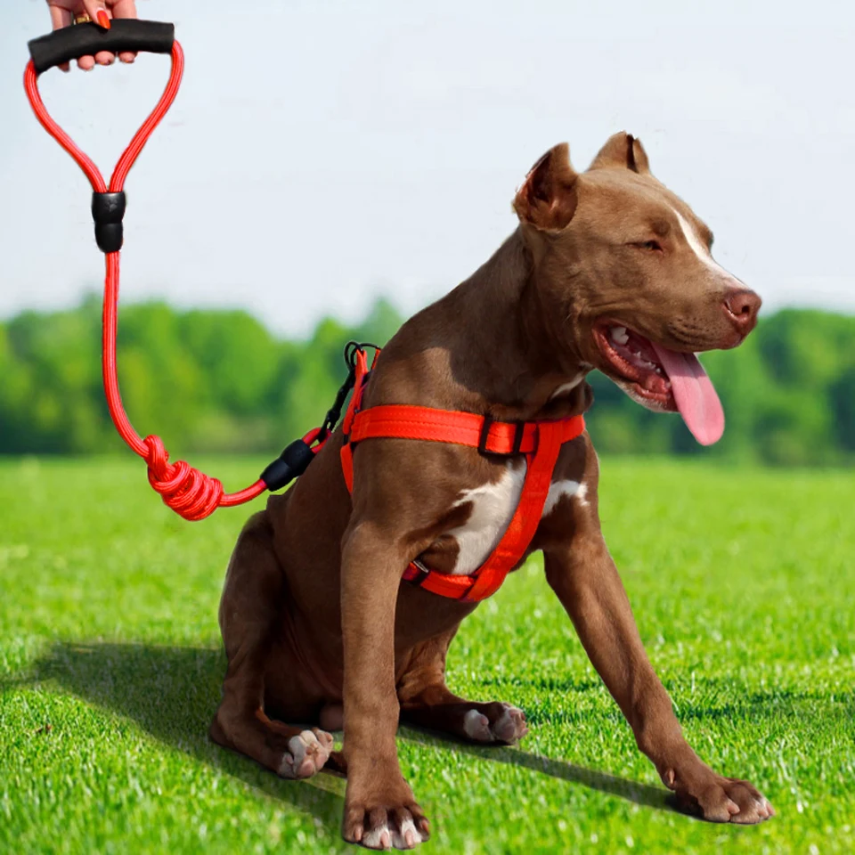 Small Large Pet Dog Leash Collar Harnesses Belt Vest Set Foam handle Nylon Engineering Buckle