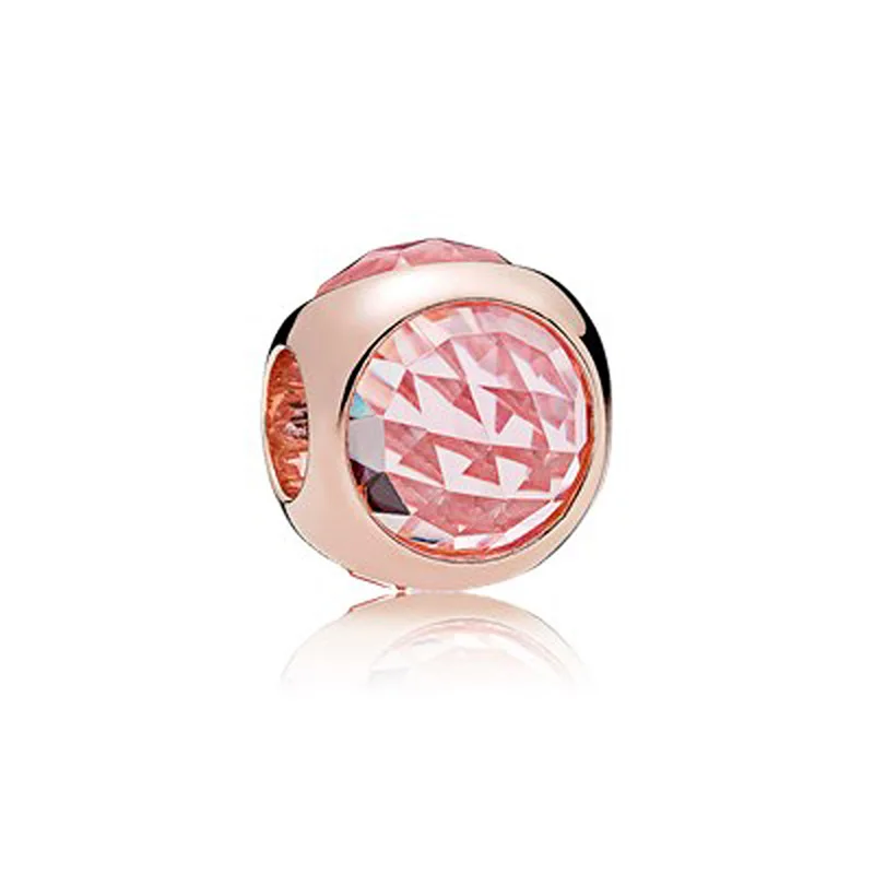 5570156170_1436279013