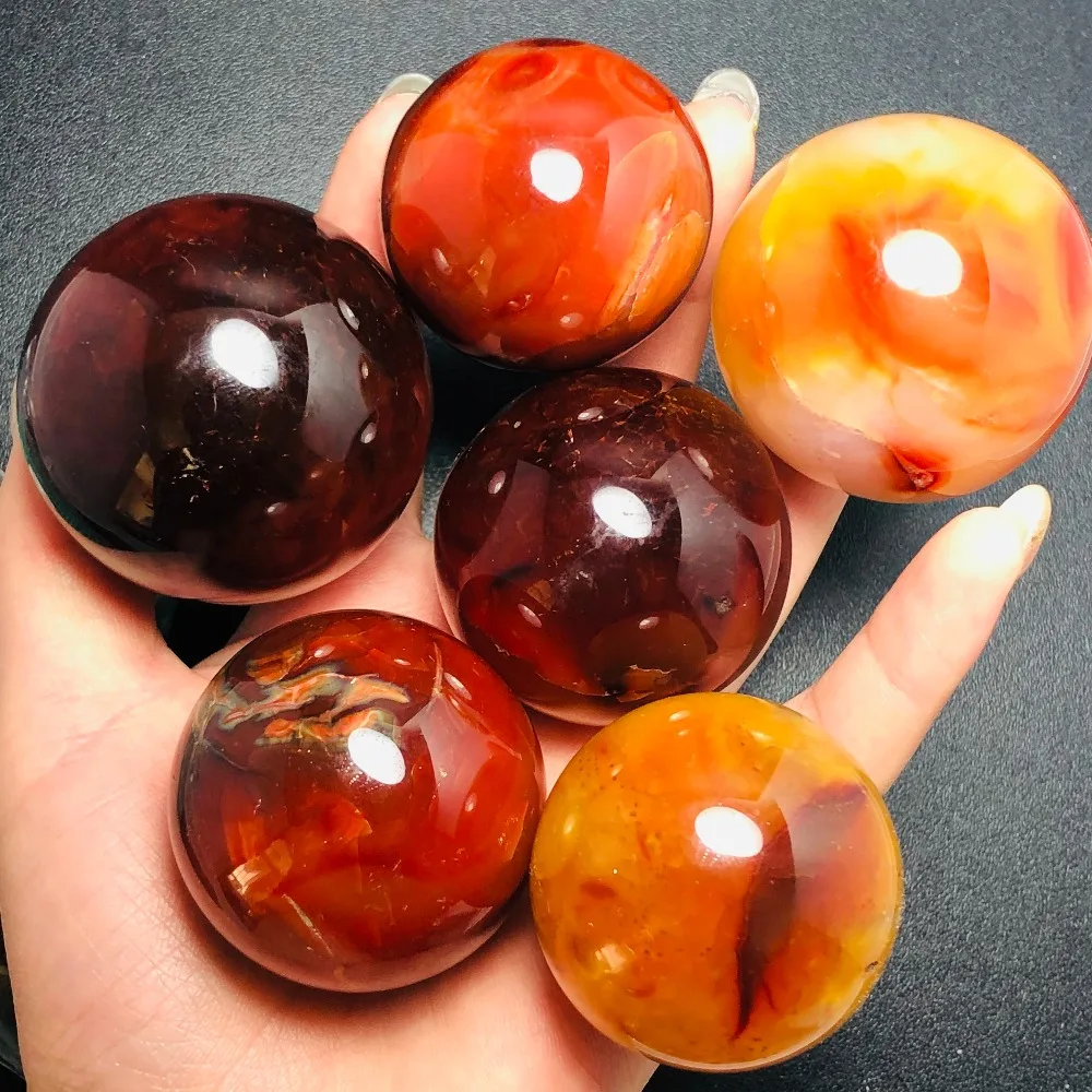 IMG_2630(20200223-101107)