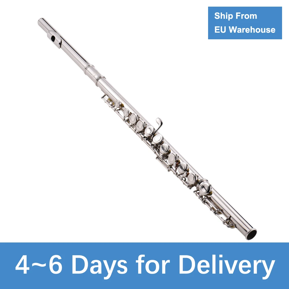 

Western Concert Flute Silver Plated 16 Holes C Key Cupronickel Woodwind Instrument with Cleaning Cloth Stick Gloves Mini Bag