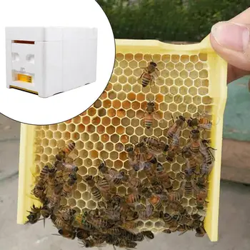 

Honeycomb Box Bees Tail Box Harvest Honeycomb Honey Box Bee King Foam Tools Bee Beekeeping High Density Pollination Box C5Z2