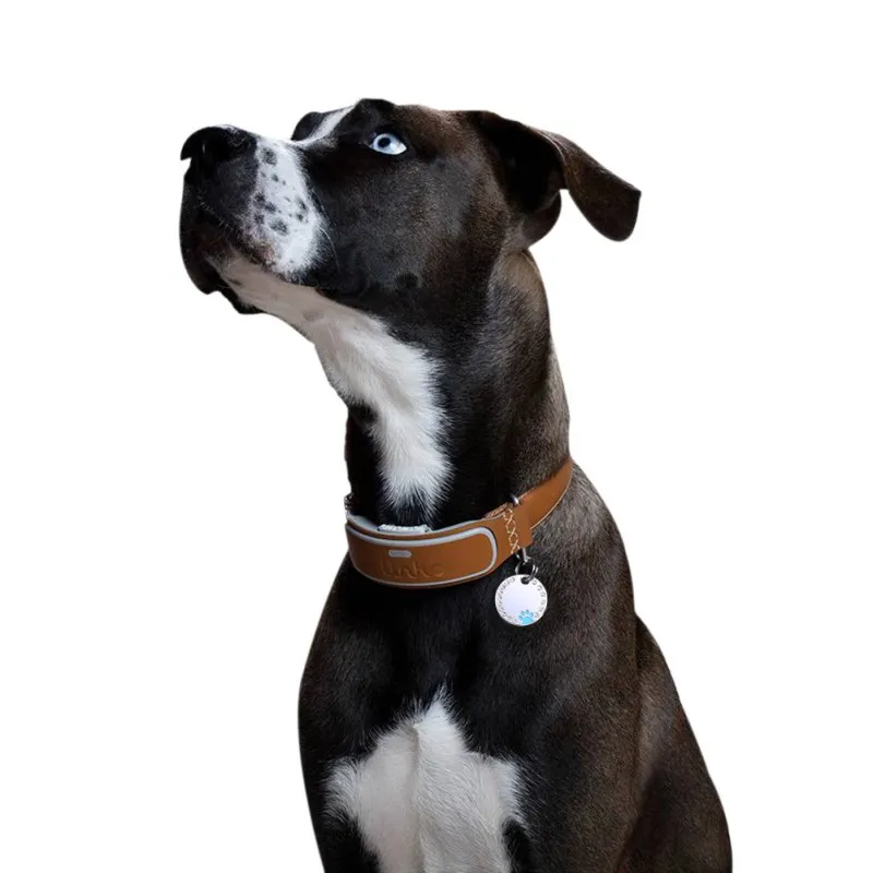 Собачий ошейник в форме сердца с надписью «Love Heart», бриллиантовые Когти для собак, идентификационная бирка для информации о имени, предотвращающая потерю, Очаровательное ожерелье, подвеска