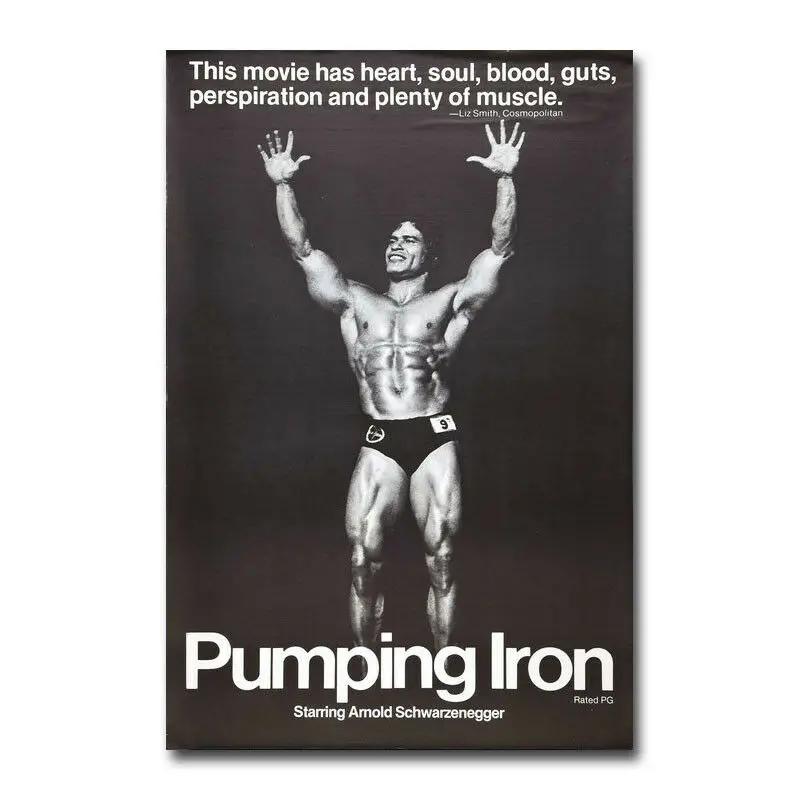 Costom Poster Arnold Schwarzenegger Bodybuilding 12x18 27x40 Art Silk 