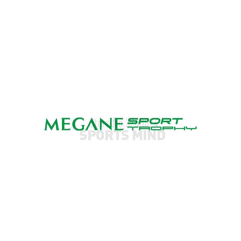 5 шт. виниловая наклейка на автомобиль для Renault Megane R.S. Trophy-R GT автомобильные аксессуары Автомобильные наклейки на ветровое стекло наклейки автомобили - Название цвета: green