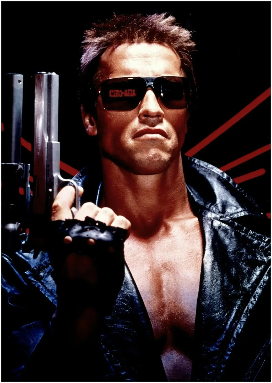 The Terminator Classic Movie Art Home Room Art Wall Silk Print Poster