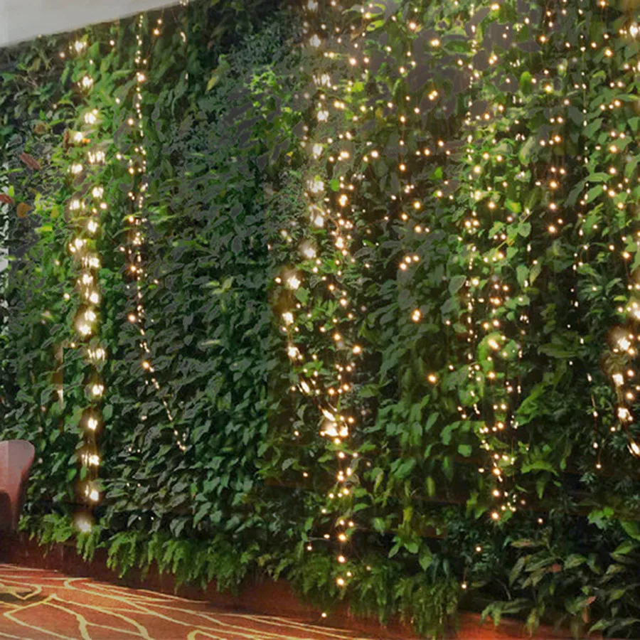 9120668424_857621802