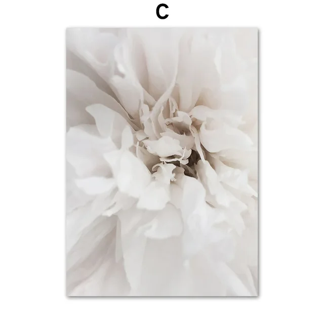 White Dandelion Peony Rose Flowers Canvas Painting Nordic Posters And Prints Wall Art Pictures For Living Room Home Decor C