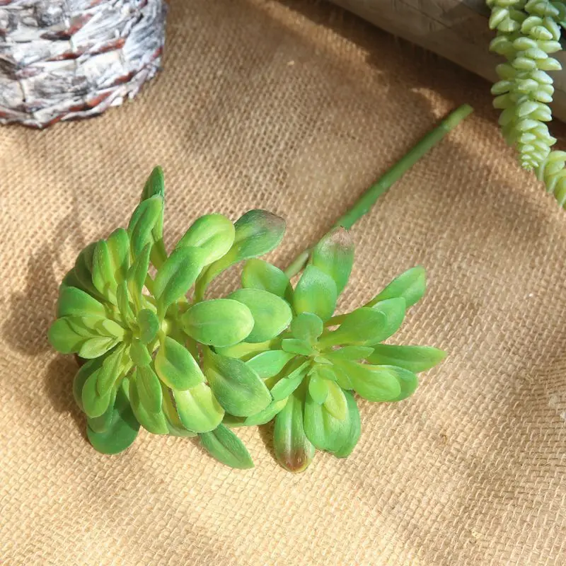 Искусственный цветок черный мастер мясистость Botany домашний интерьер ручной свадебный букет украшенный стены Botany настенные цветы Mw17687
