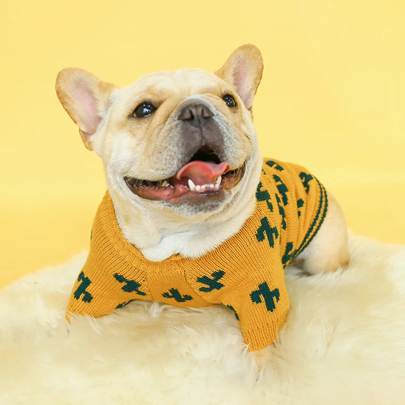 仙人掌毛衣_0133