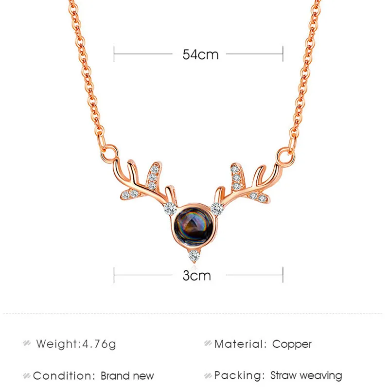 12028575495_2130544268