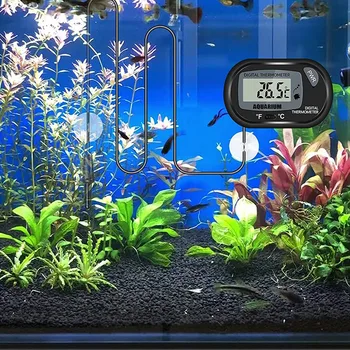 32141-a9a731.jpg 32141-a9a731.jpg