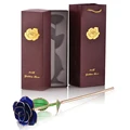 Dark Blue Gold Rose
