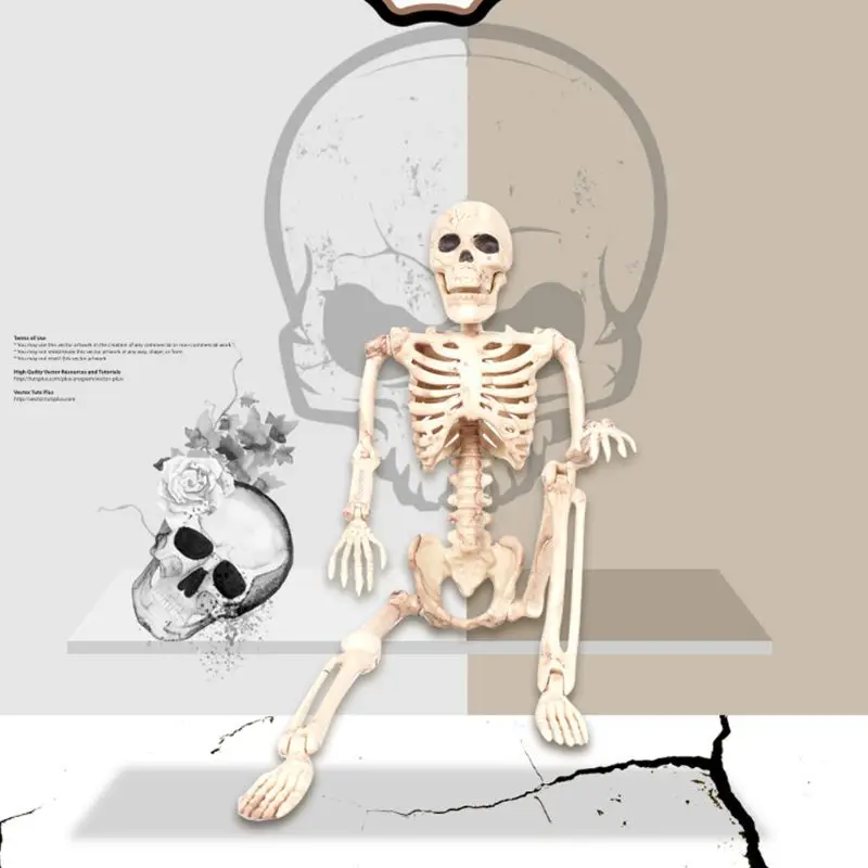На все тело висящий взрослый человеческий скелет Хэллоуин реквизит sciential Bones Models реалистичные полимерные черепа вечерние строительные декорации Q6PD