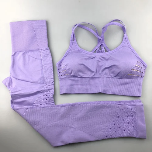 Violet 2Pcs Set Женский комплект для йоги, бесшовная одежда для фитнеса, спортивная одежда, женские леггинсы для спортзала, мягкий спортивный бюстгальтер пуш-ап, 2 шт, спортивные костюмы - Цвет: Violet 2Pcs Set