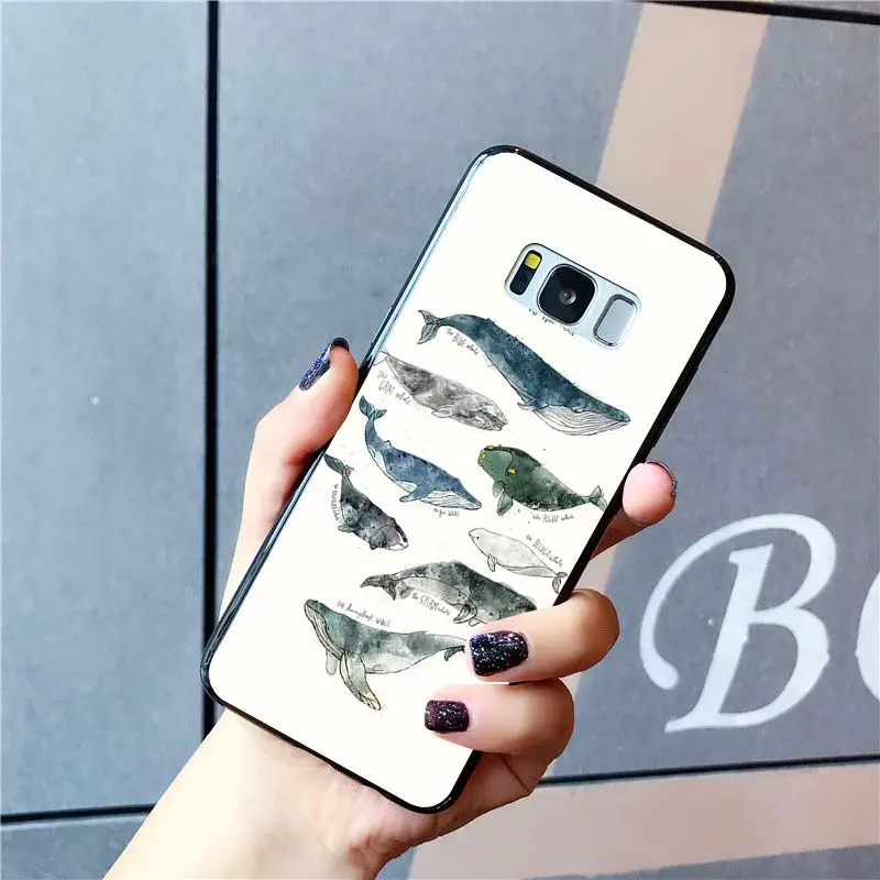 Babaite Killer Whales акварельный принт океанские животные чехол для телефона для samsung Galaxy S10E S7 Edge S9 S8 S10plus S6 S10Lite S5 M10 - Цвет: A12