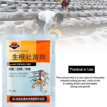 

30g Garden Plants Fast Rooting Powder Strong Germination Trees Soaking Rapid Fertilizer For Cutting Agent Aid Seedling Medi W6X5