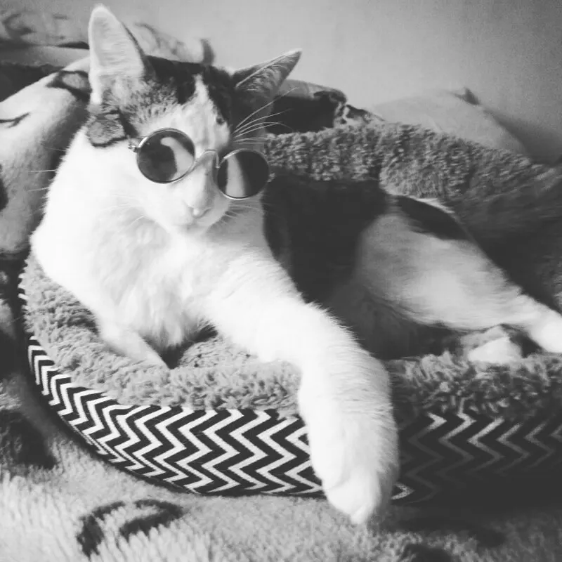 UTB82e.YgXfJXKJkSamHq6zLyVXaC