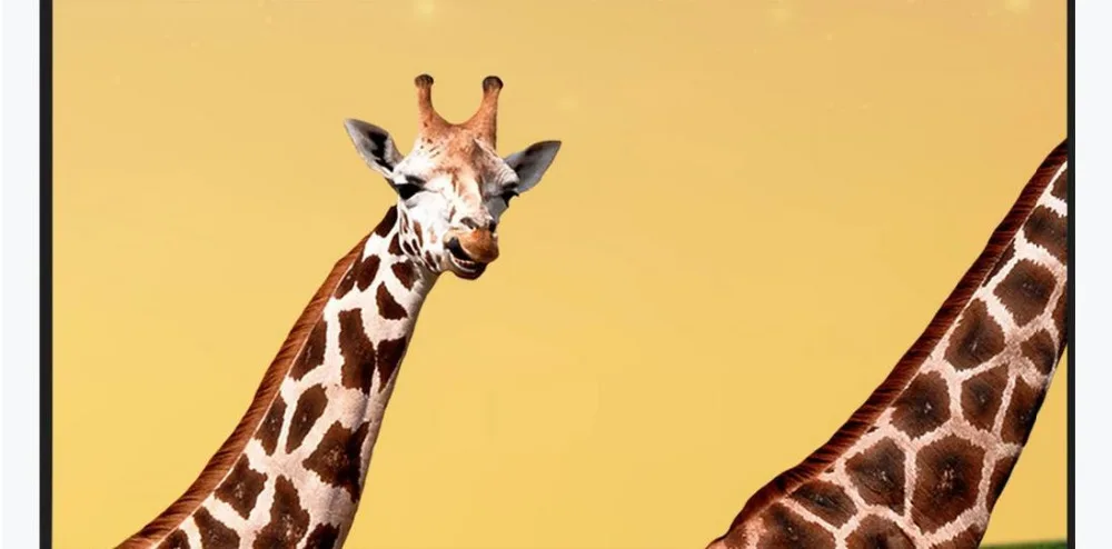 360截图20200310211941440