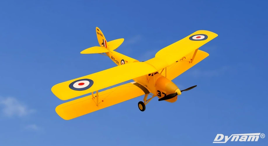 dynam tiger moth