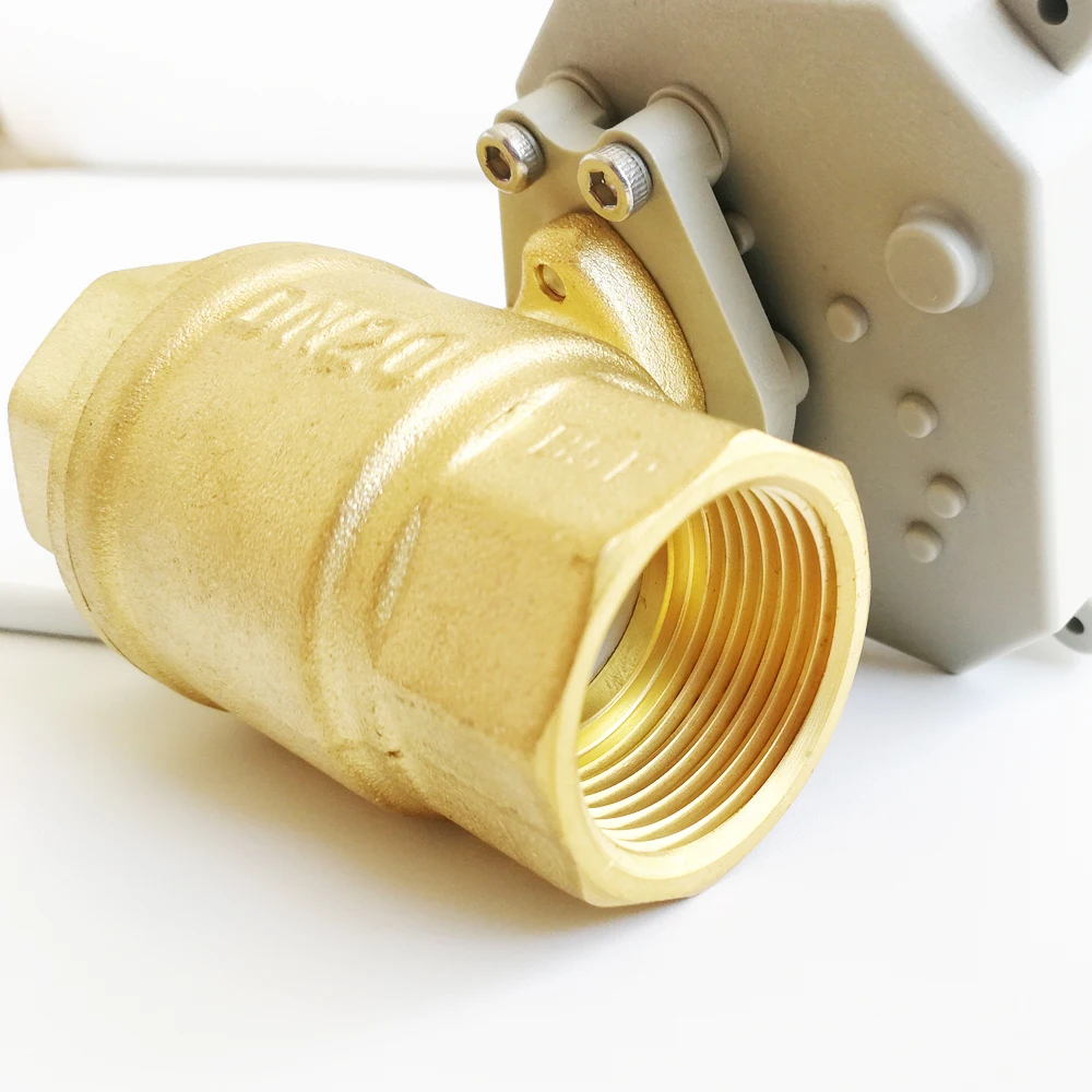 BSP/NPT 1 "моторизованный клапан TF25 B2 C AC110V 230V 2 полосная DN25 автоматизированных