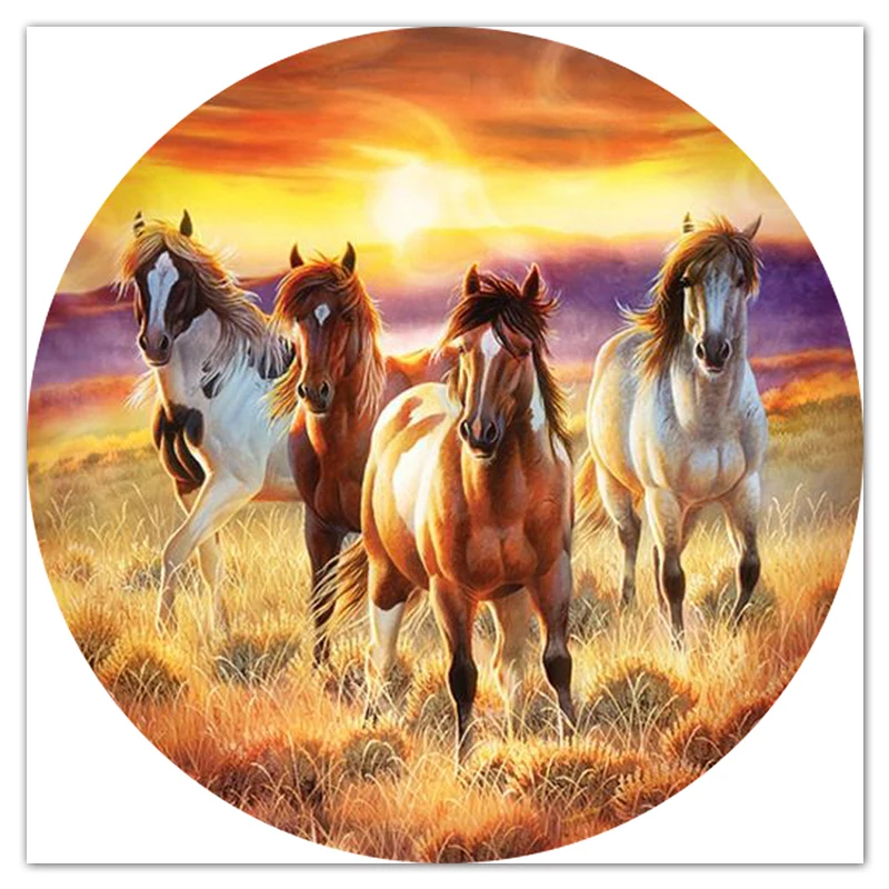 Алмазная живопись 5D Лошадь не полностью квадратная Мозаика из круглых страз С