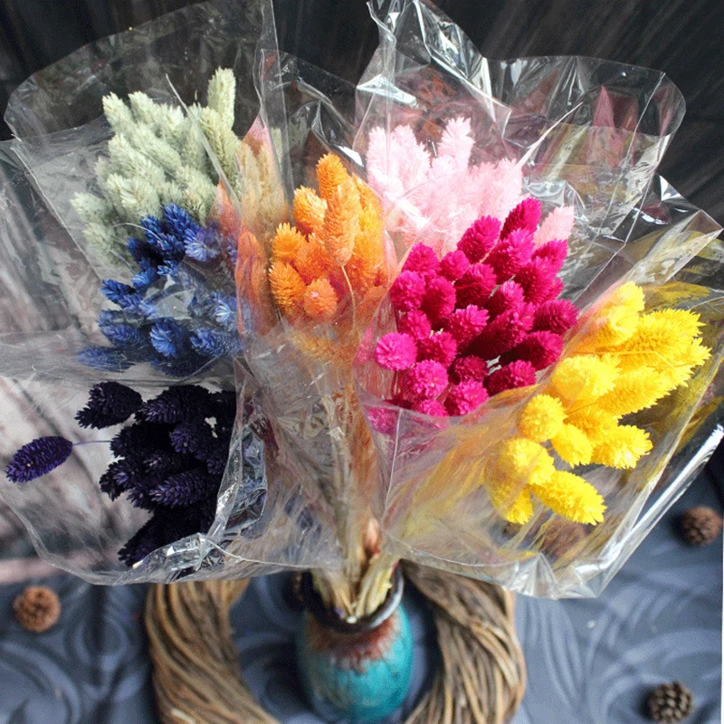 6082269861_1854372444