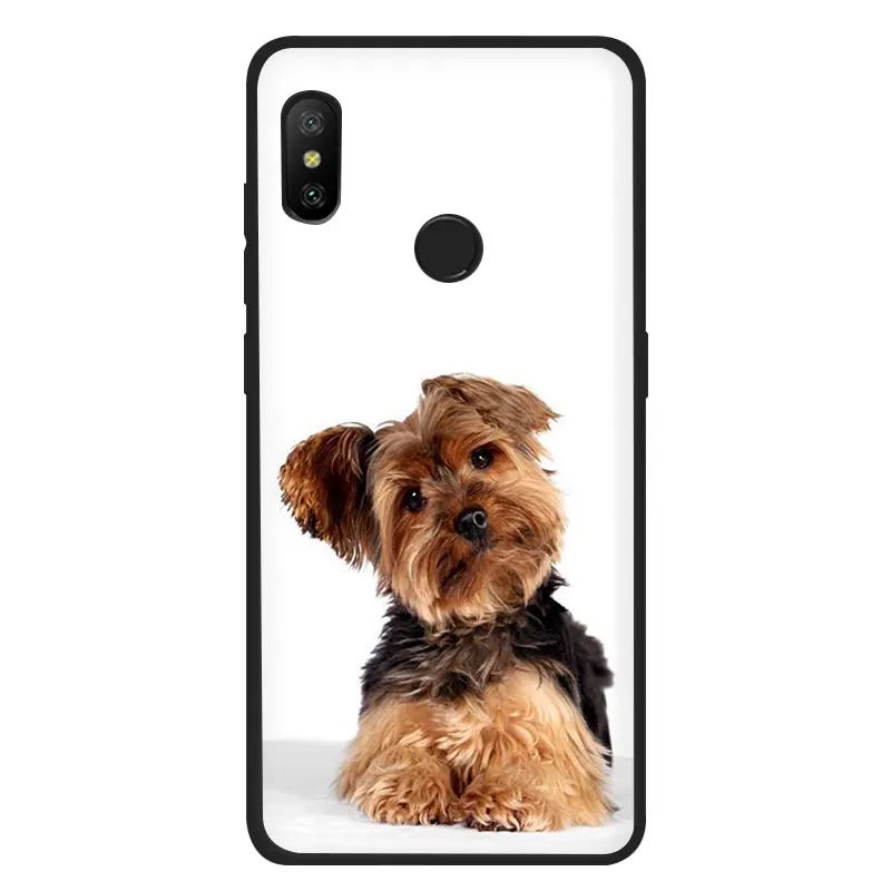 Мягкий ТПУ чехол для телефона EWAU йоркширский терьер собака для Xiaomi 6 8 9 SE A1 A2 Lite 9T CC9e A3 Pro MAX 3 F1 - Цвет: B6