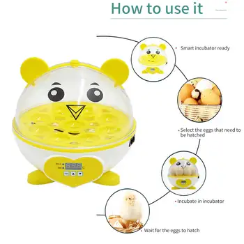 

9 Partition Birds Intelligent Breeding Digital Display Poultry Eggs Incubator Electronic Mini Brooder Automatic Thermostat Quail